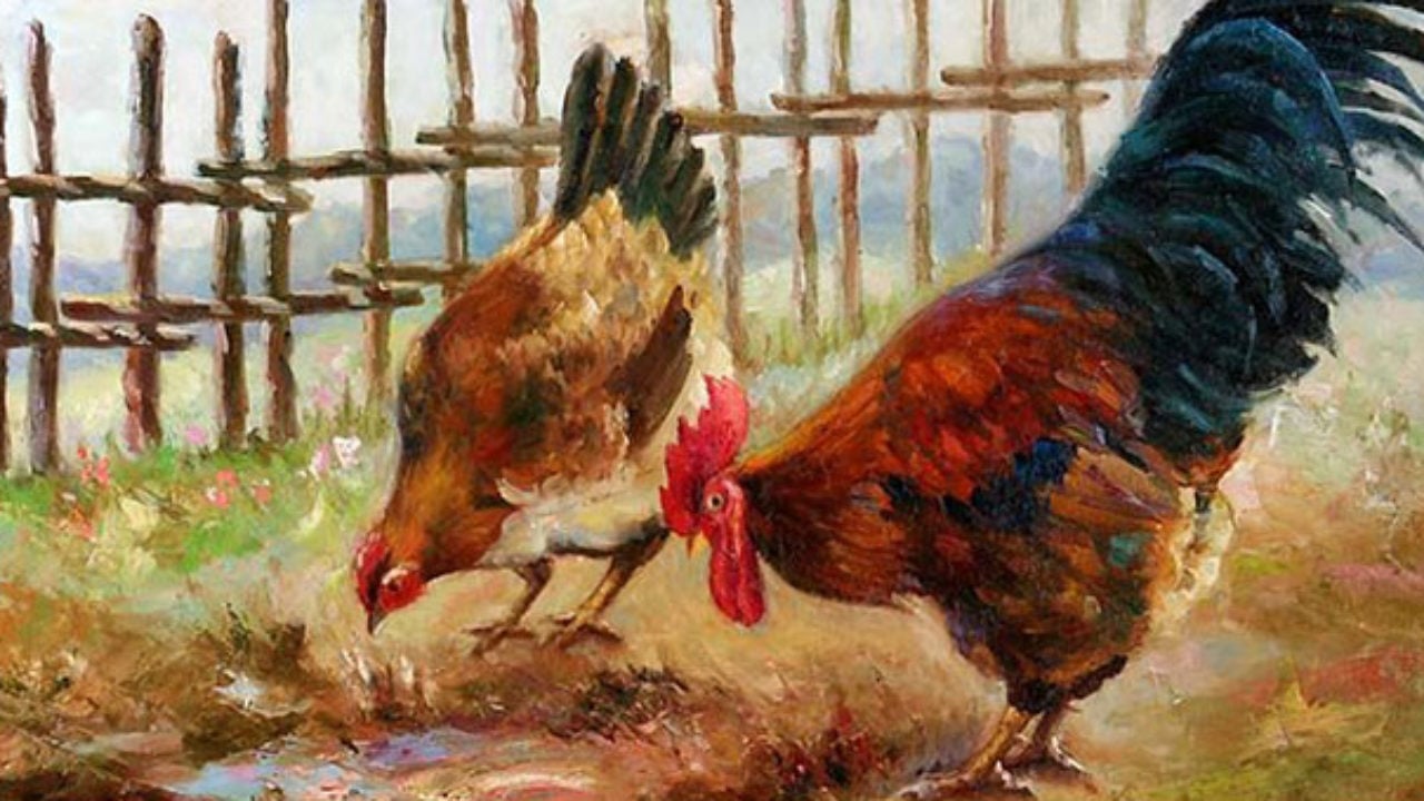 Tử vi tuổi Dậu hôm nay 1753067606 tuoi dau hom nay