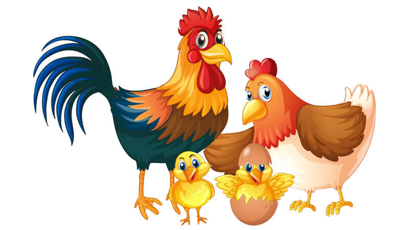 1753325883 tu vi 12 con giap hom nay 2572025 tuoi dau