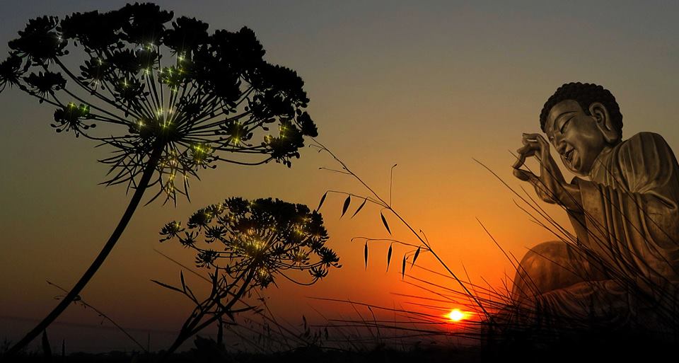 Minh họa về sự chuyển hóa nhờ tu tập