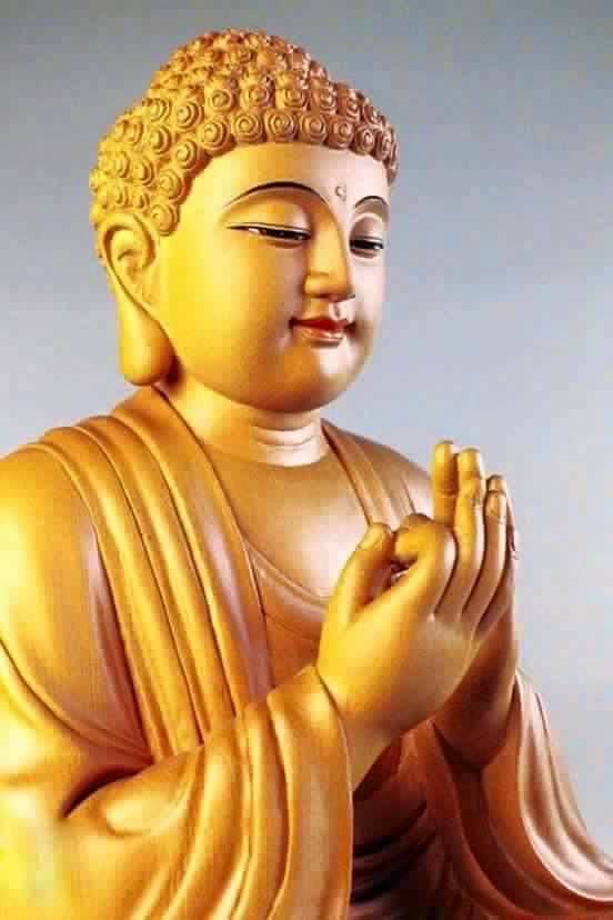 21762040_510445599298161_6741072358900636896_n-0844 Tùy hỷ công đức 6