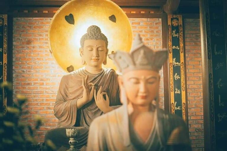 241013369 1559391761078298 8065456362291500813 n 1755 1