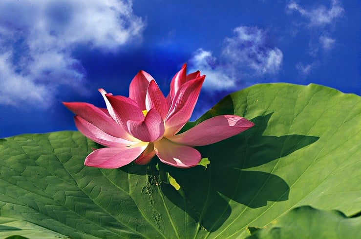 Vạn vật luôn thay đổi theo quy luật vô thường