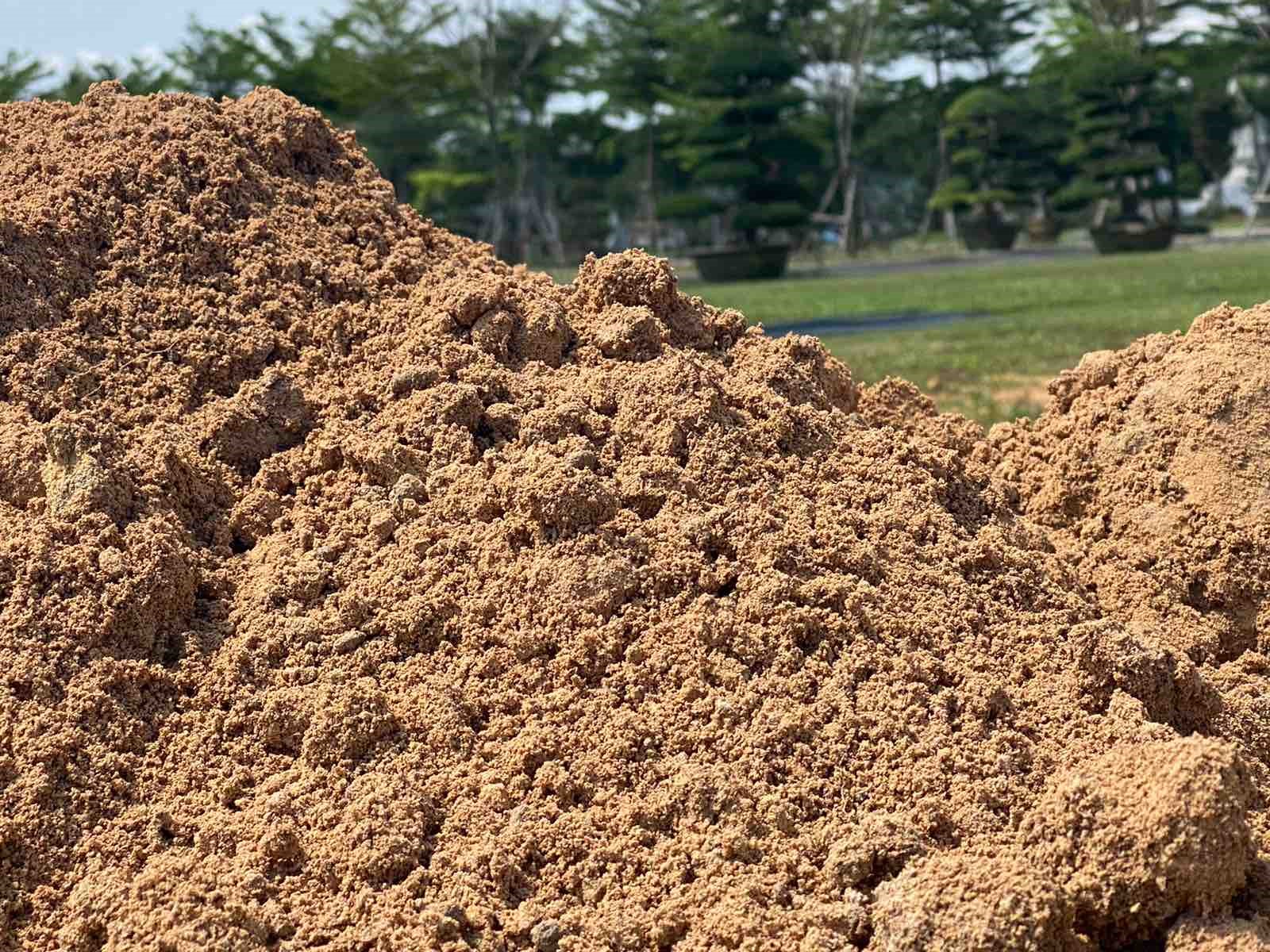 Đặc điểm đất an táng ngũ sắc