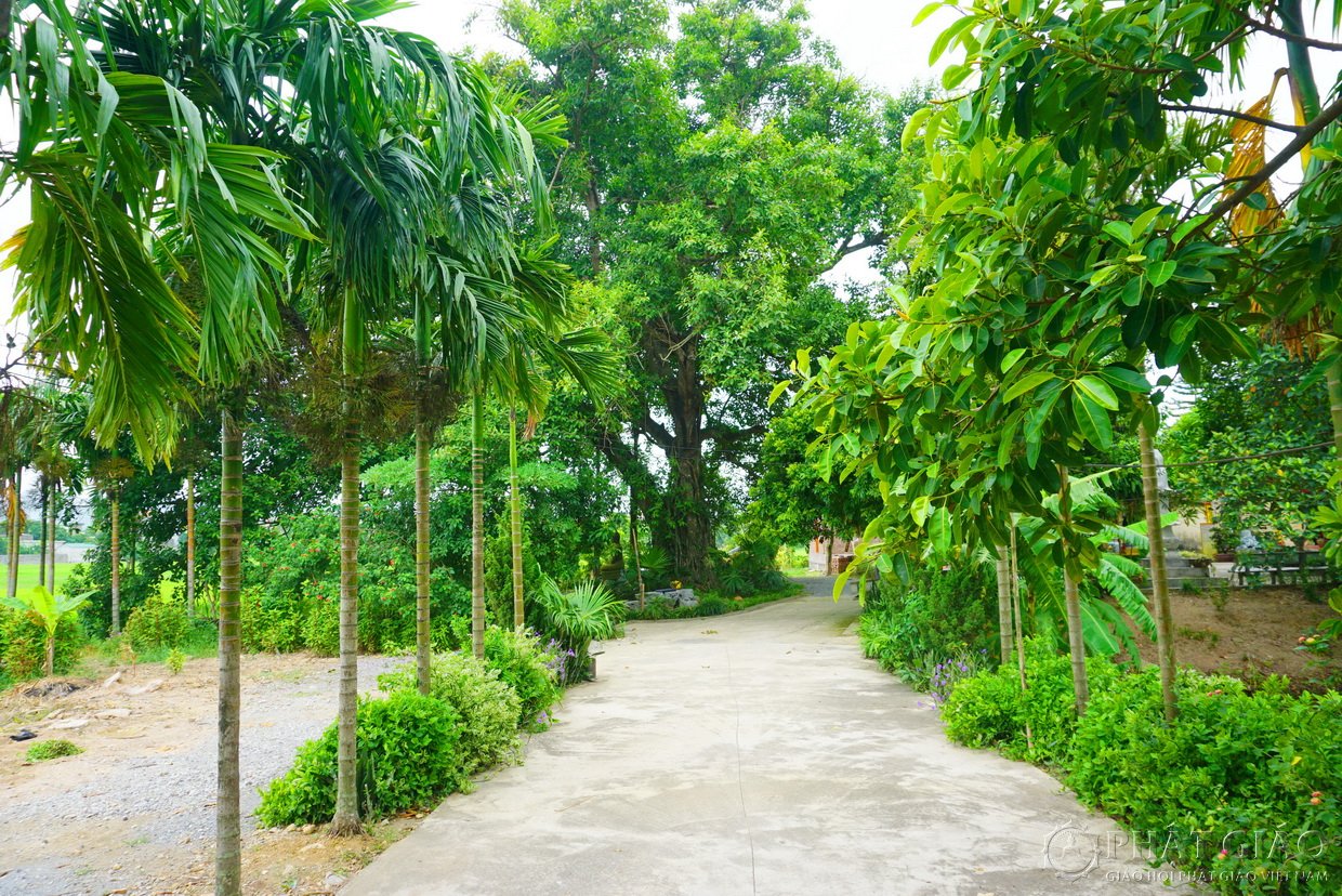 Không gian Thiền vị Anh Linh Tự - Ngôi chùa 300 năm tuổi ở Hà Nam 3