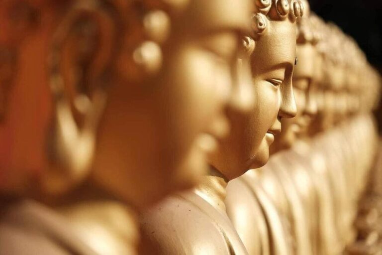 313438593 197850579272420 8364008057630927054 n 0837 1