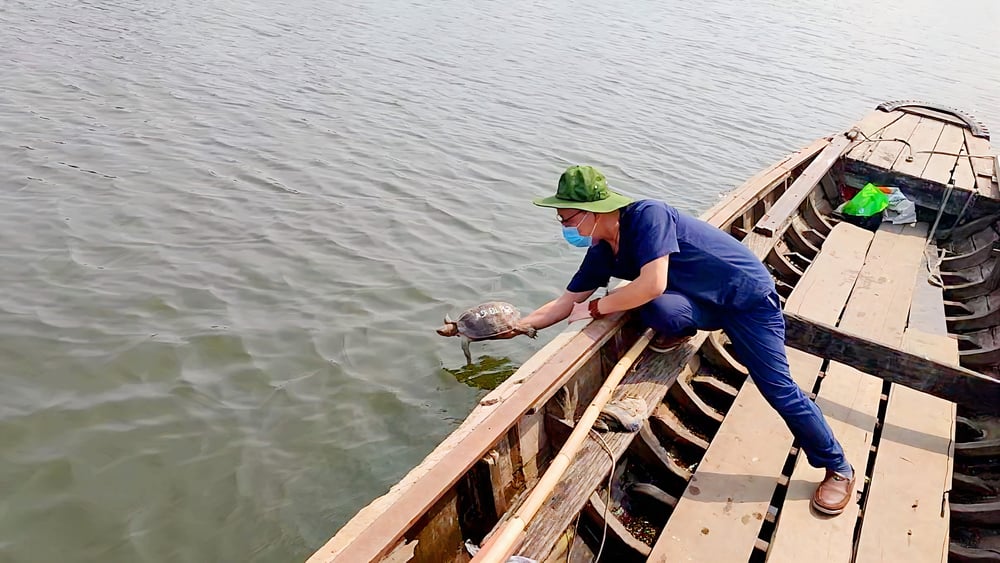 Về với Phật đời con sẽ đẹp 4