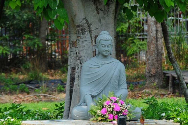 Bốn mươi chín ngày đêm: Đức Phật ngồi thiền dưới cội Bồ-đề, sự thật hay huyền thoại? 2 442479787 415580777958066 8104198032674818089 n 1048 1