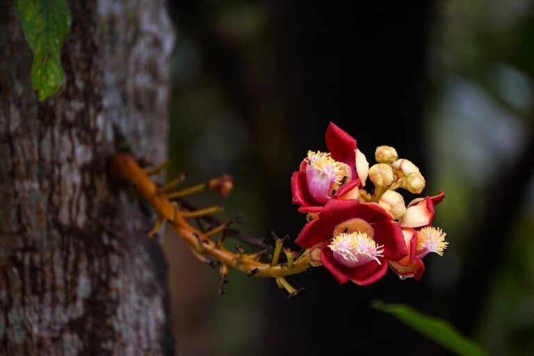 442489375 785494297017625 6535698987570416827 n 1607 1