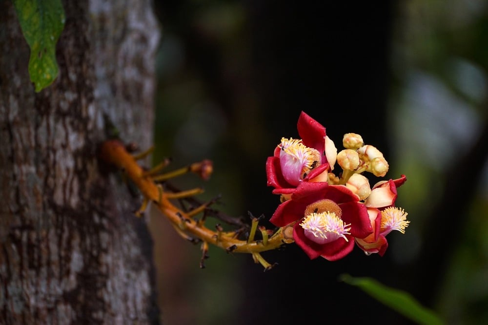 Biết đủ và hài lòng với những gì mình đang có, đó chính là “hạnh phúc” 1