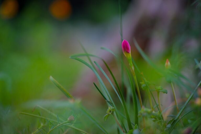 448577689 961420415776915 3728850047854735023 n 2052 1