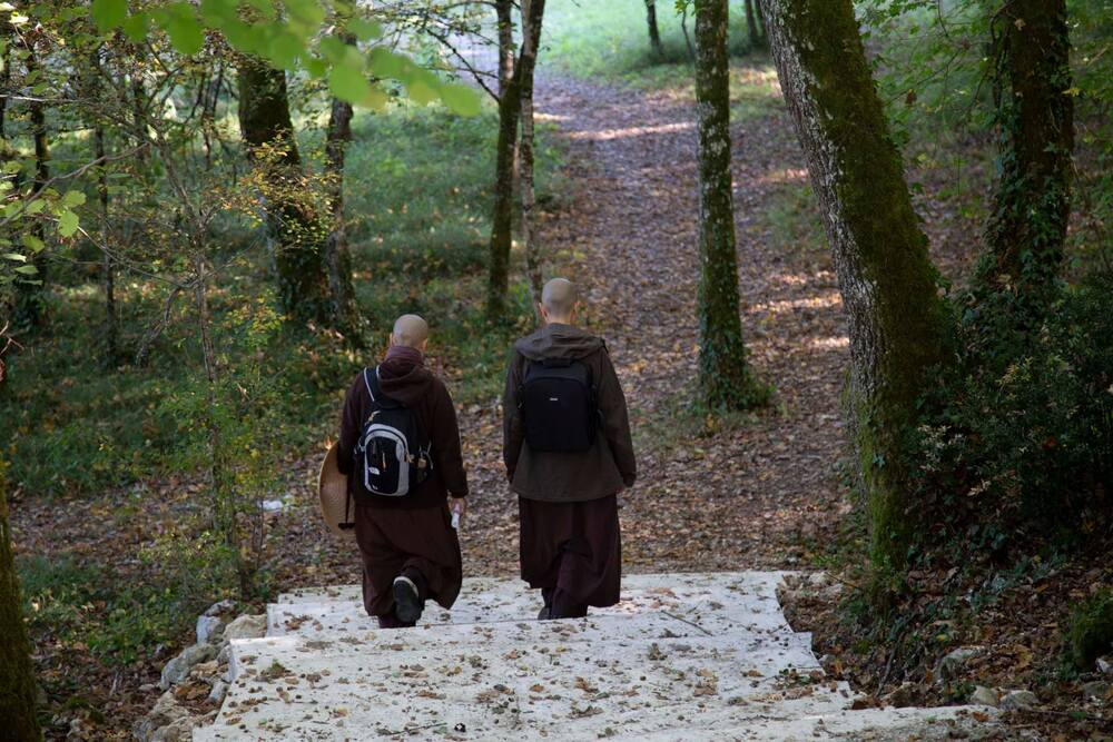 Làm sao để có được sự tĩnh tại và an nhiên?