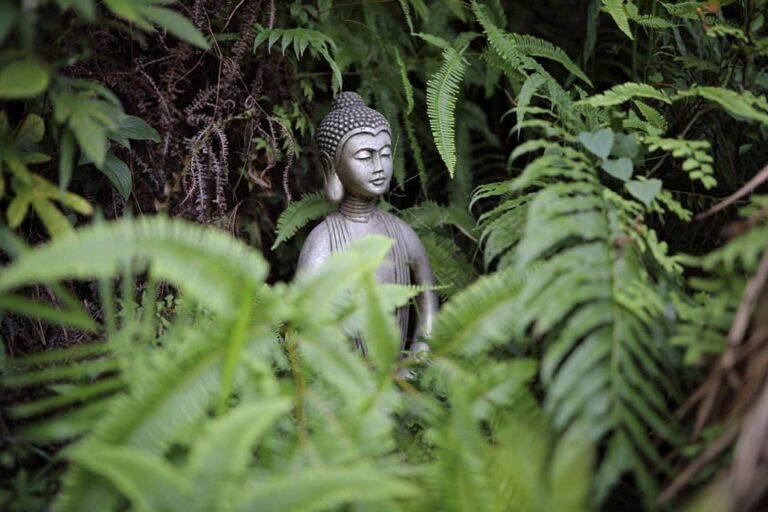 45159327 752535165097299 5651539622749011968 n 1900 1