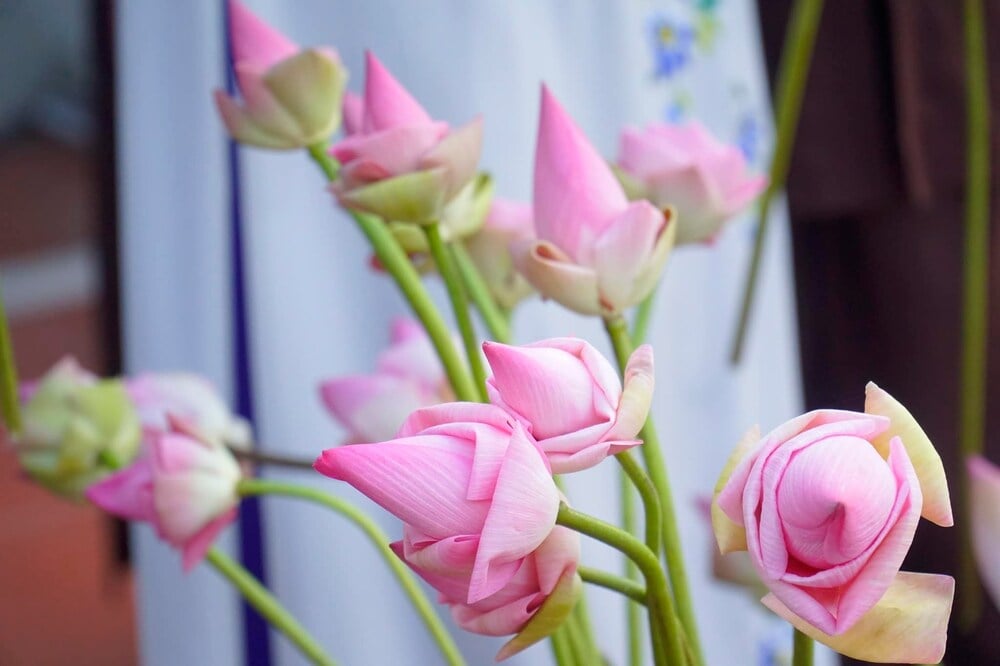 Người có tâm thiện lành 1