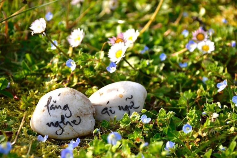 456082697 393611860419193 6105563540889277813 n 1013 1