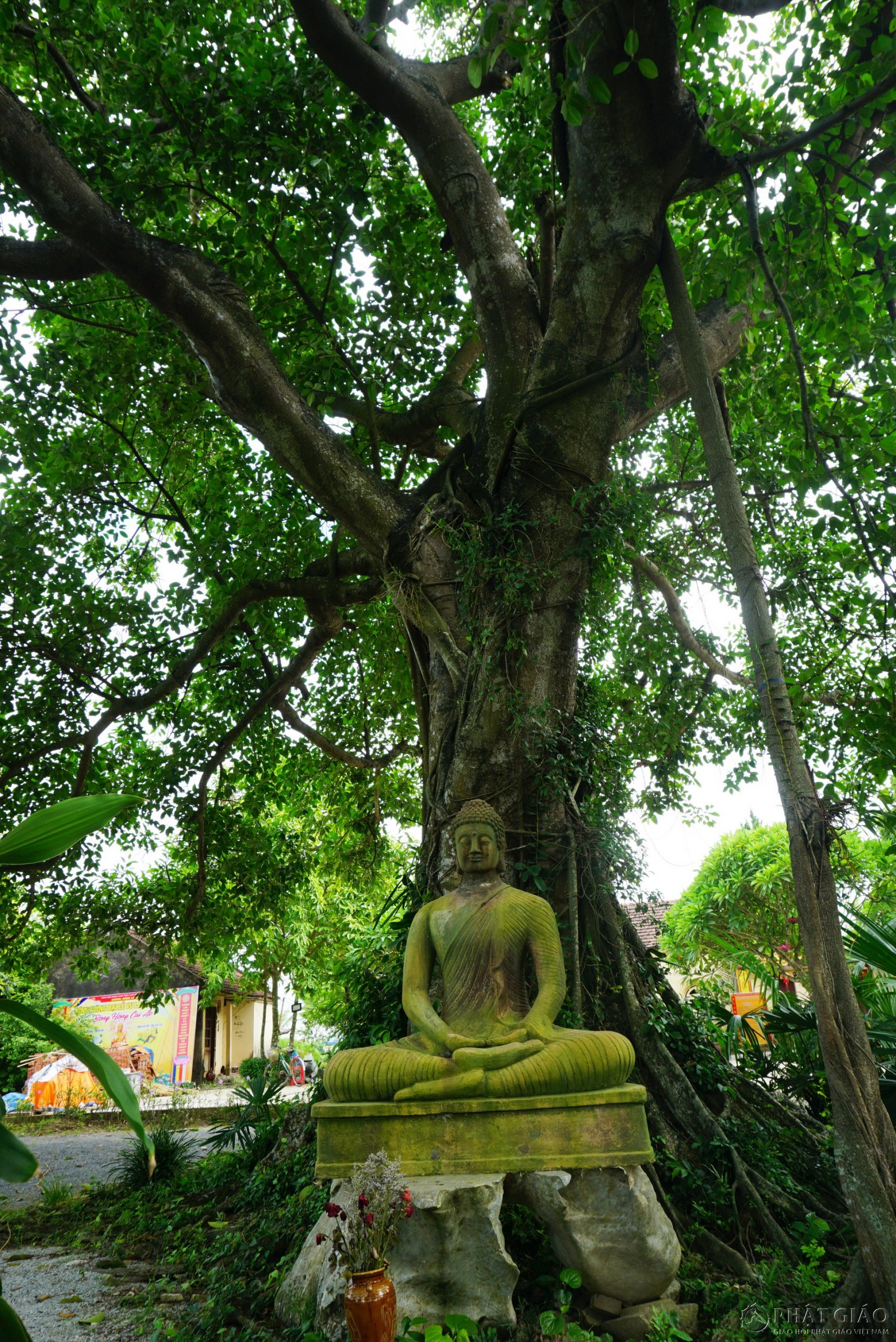 Không gian Thiền vị Anh Linh Tự - Ngôi chùa 300 năm tuổi ở Hà Nam 4