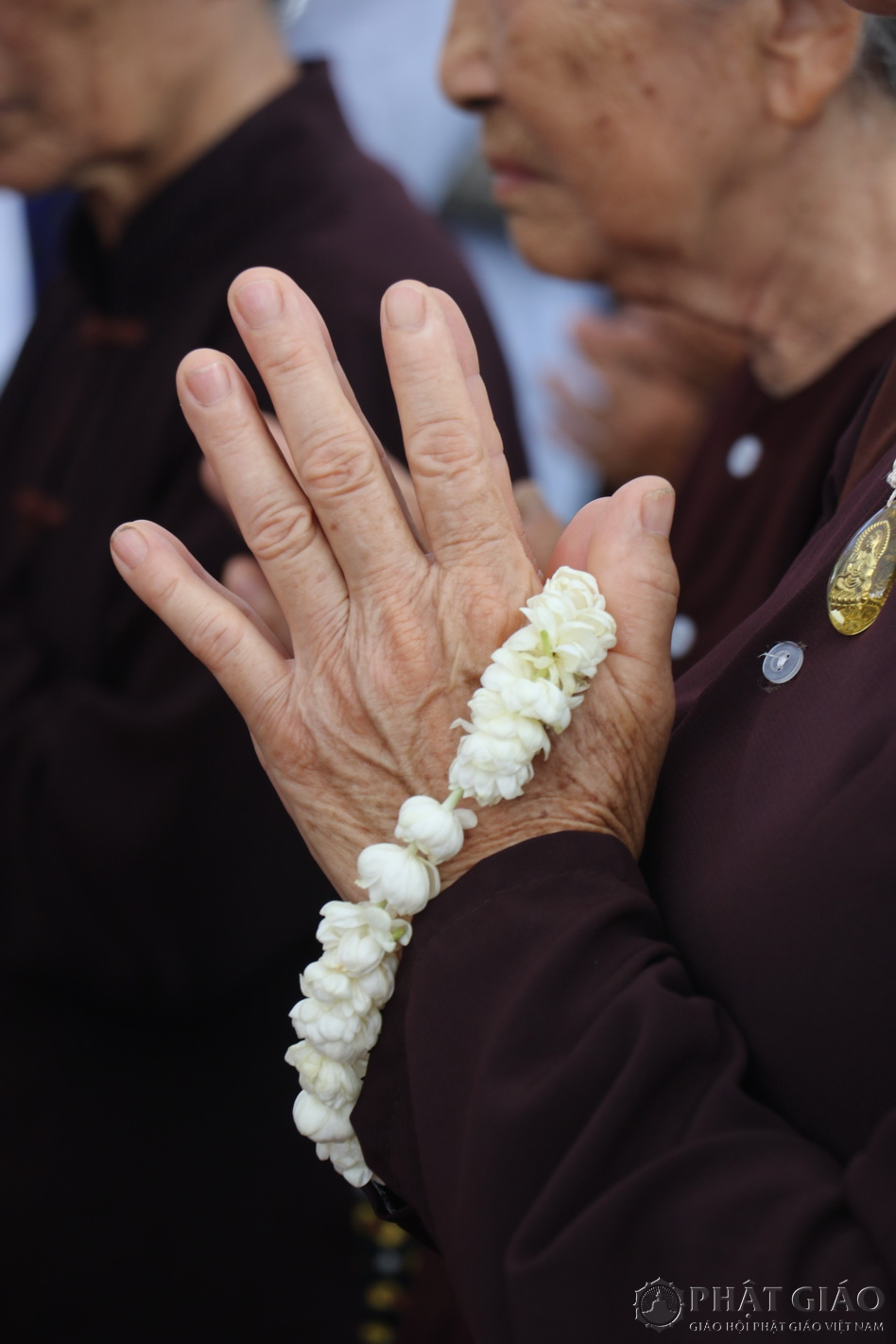 Đi về trái tim người ở lại