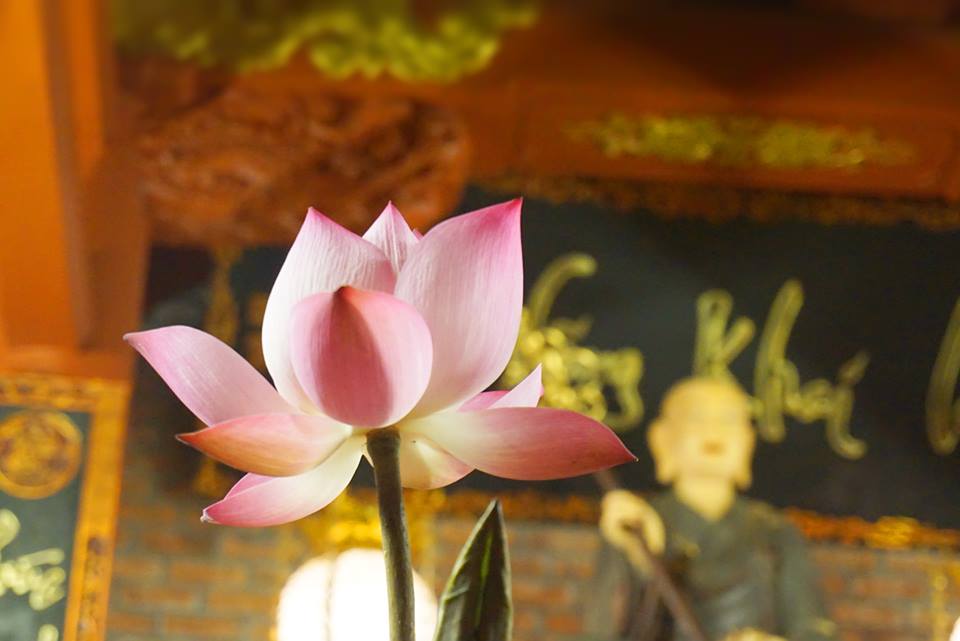 Thiên thần hay ác quỷ là tùy thuộc vào hành động và quyết định của chính mình 1