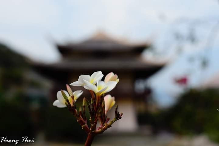 Hoài niệm về những ngôi chùa xưa 3