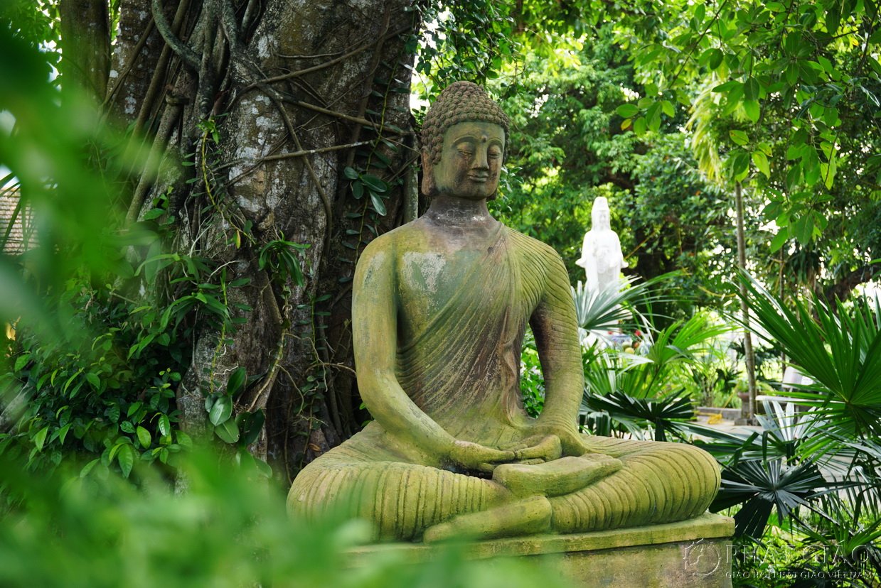 Không gian Thiền vị Anh Linh Tự - Ngôi chùa 300 năm tuổi ở Hà Nam 5