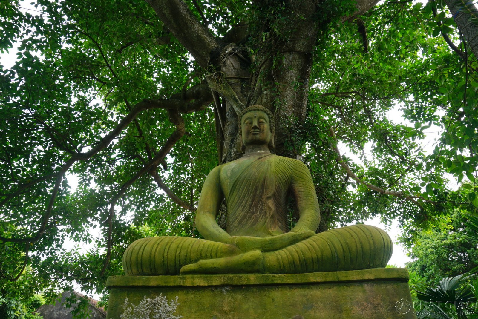 Không gian Thiền vị Anh Linh Tự - Ngôi chùa 300 năm tuổi ở Hà Nam 6