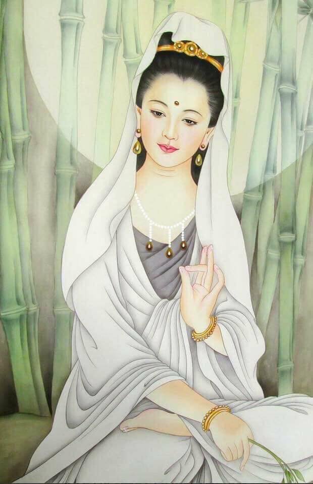 74947291 2394933990722344 5361016816392994816 n 1056 1