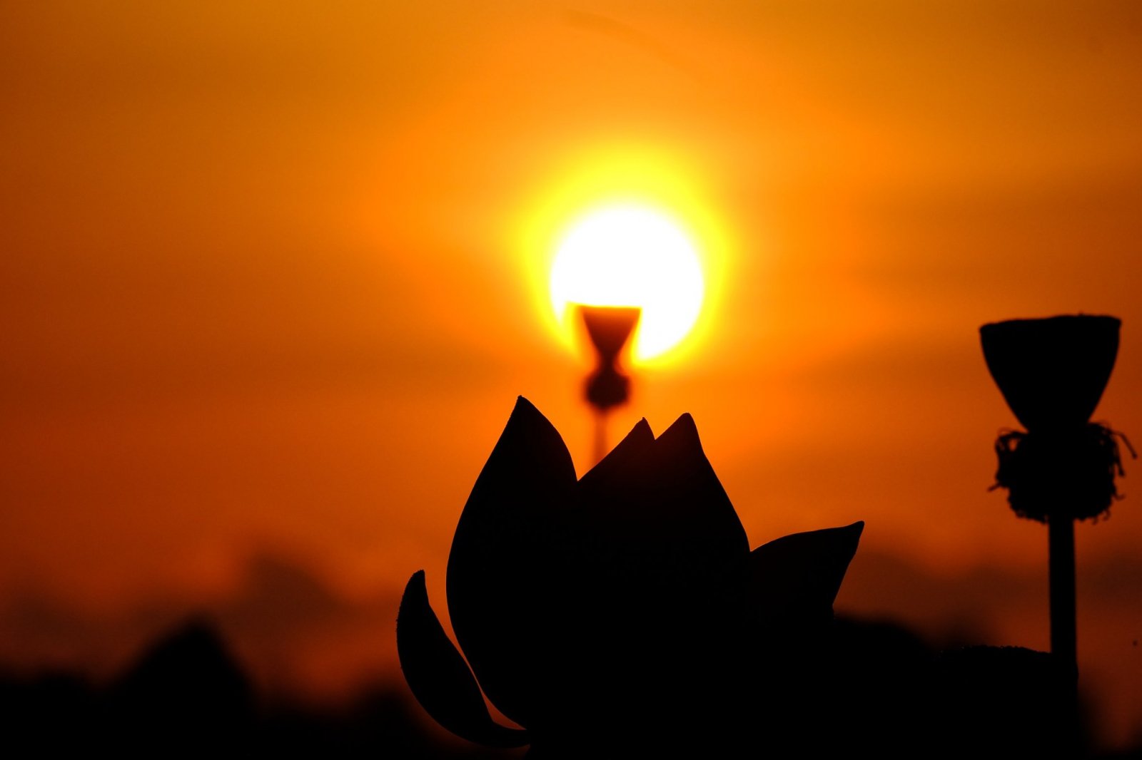 Tánh và Tướng 3