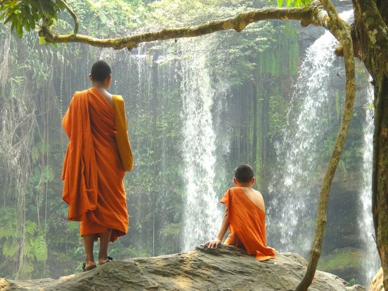 Quan sát tâm và cảm xúc