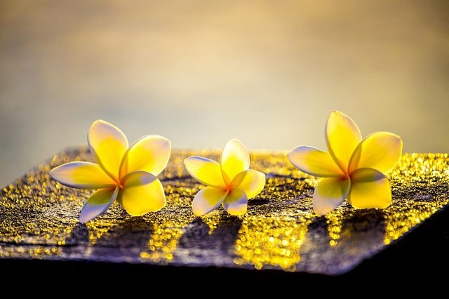 aduyenphatgiaoorgvn 0921 1