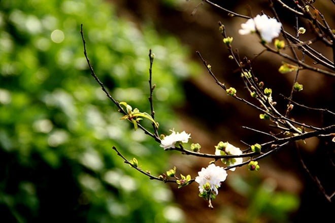 amaiphatgiaoorgvn 1628 1