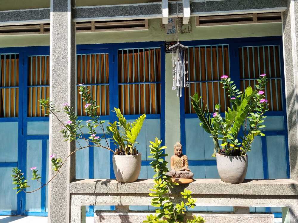 Không hối, không tiếc... 1