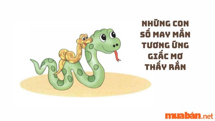 Giải mã giấc mơ thấy rắn