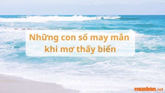 anh-mo-ta-58 Khi mơ thấy biển, những con số liên quan có thể mang lại may mắn cho bạn. Những con số này có thể gắn liền với vận may trong cuộc sống và công việc của bạn.