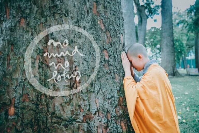 asenphatgiaoorgvn 1532 1