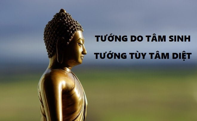 atamphatgiaoorgvn 1134 1