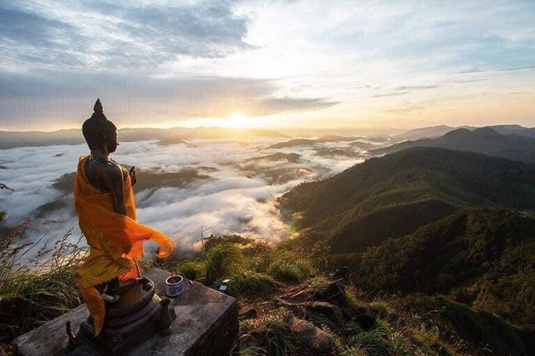 avophatgiaoorgvn 1428 1