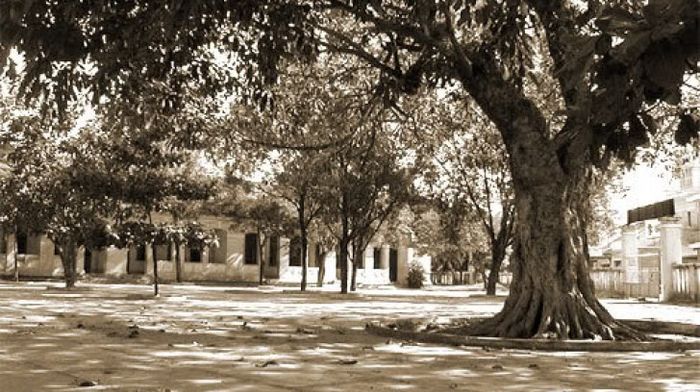 bai tho mot uoc mo xuan quynh 550318