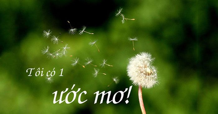 bai tho mot uoc mo xuan quynh 935723