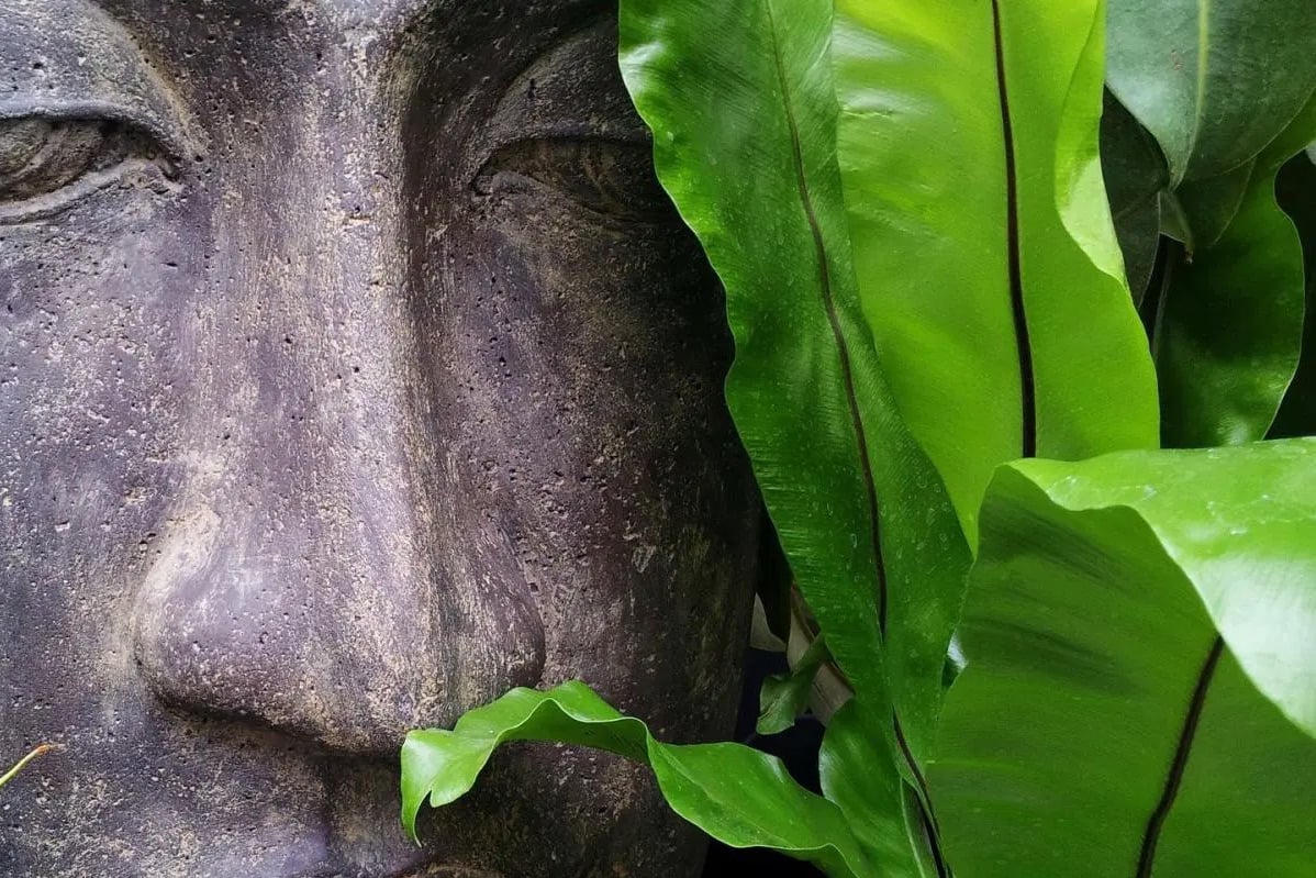 La Hán, Bồ Tát, Phật là gì? 1