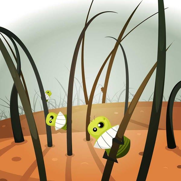 cach tri chi cho tre