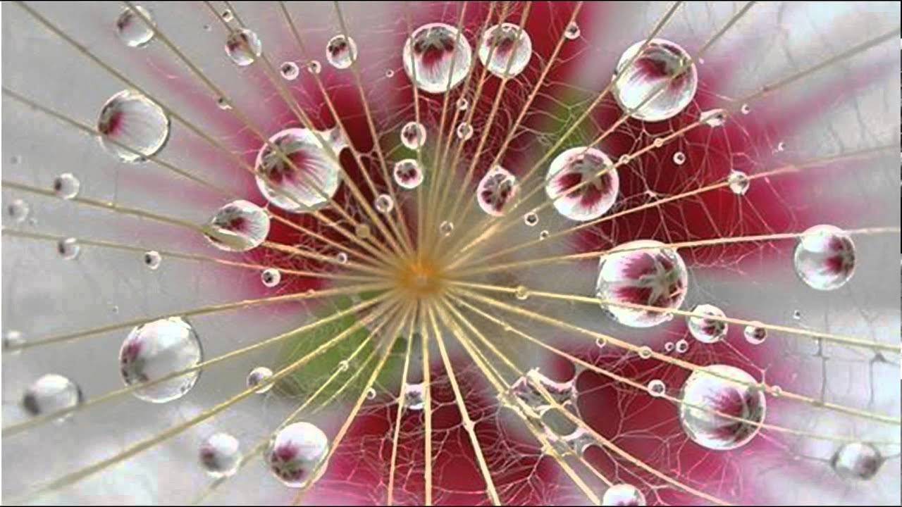 Thế nào là cảm thọ? 2