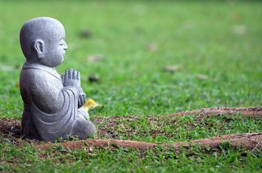 Hình ảnh minh họa về cam lồ thủy