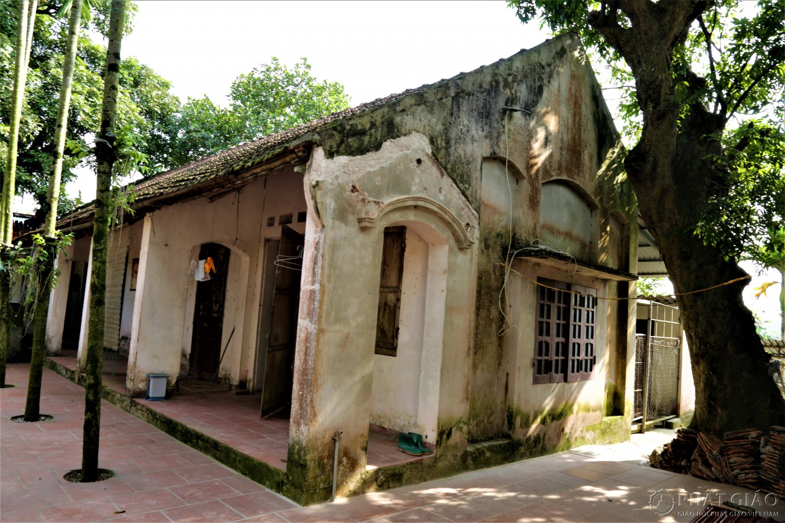 Đức Pháp chủ Thích Phổ Tuệ - Tấm gương về cuộc sống thanh bần và trí tuệ