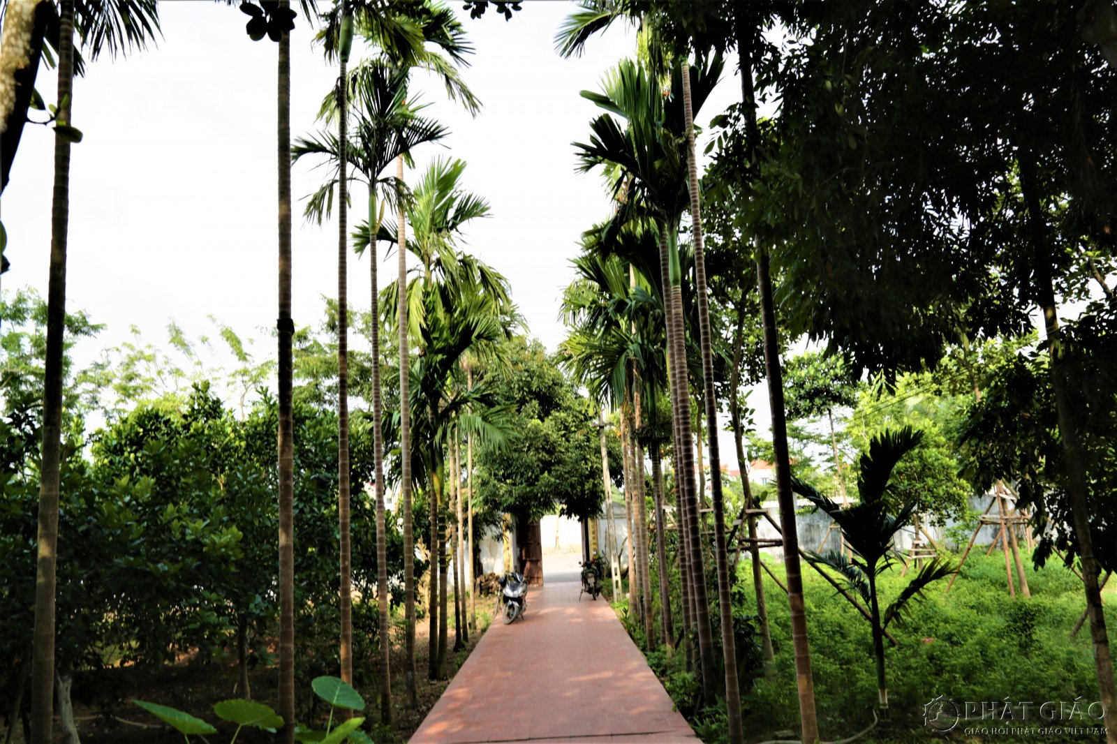 Cảnh quan thanh tịnh tại Chùa Ráng