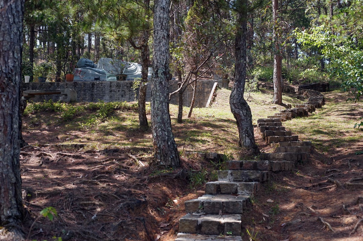 Chùa Linh Phong – ngôi chùa mang vẻ đẹp đậm chất Đà Lạt 12