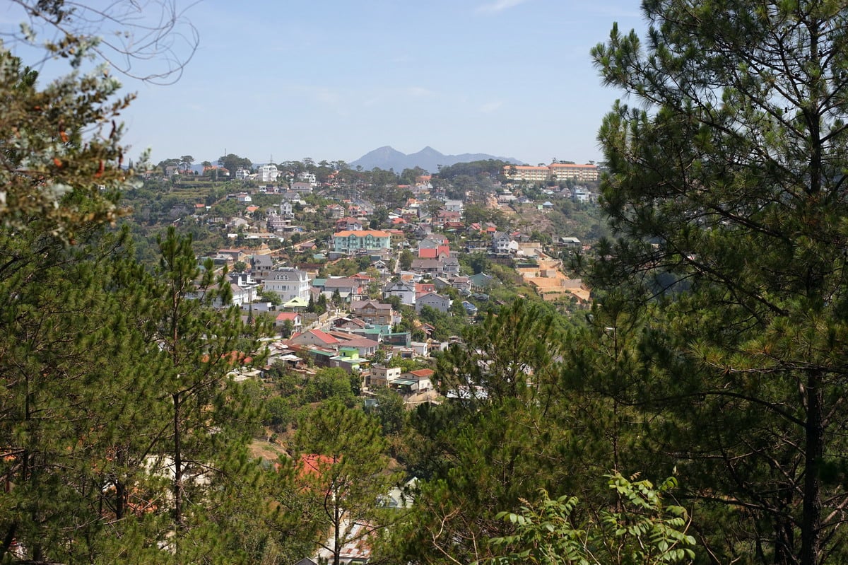 Chùa Linh Phong – ngôi chùa mang vẻ đẹp đậm chất Đà Lạt 15