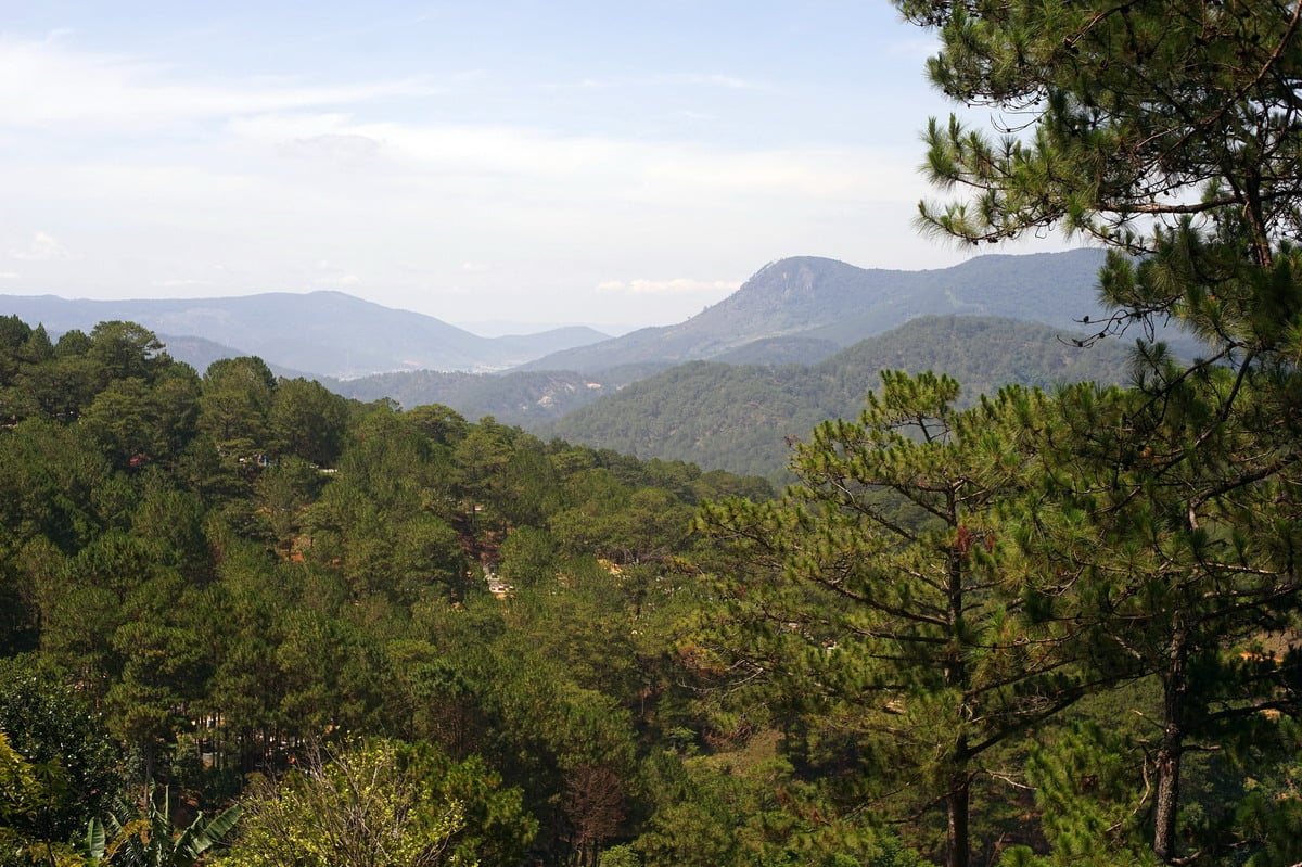 Chùa Linh Phong – ngôi chùa mang vẻ đẹp đậm chất Đà Lạt 16