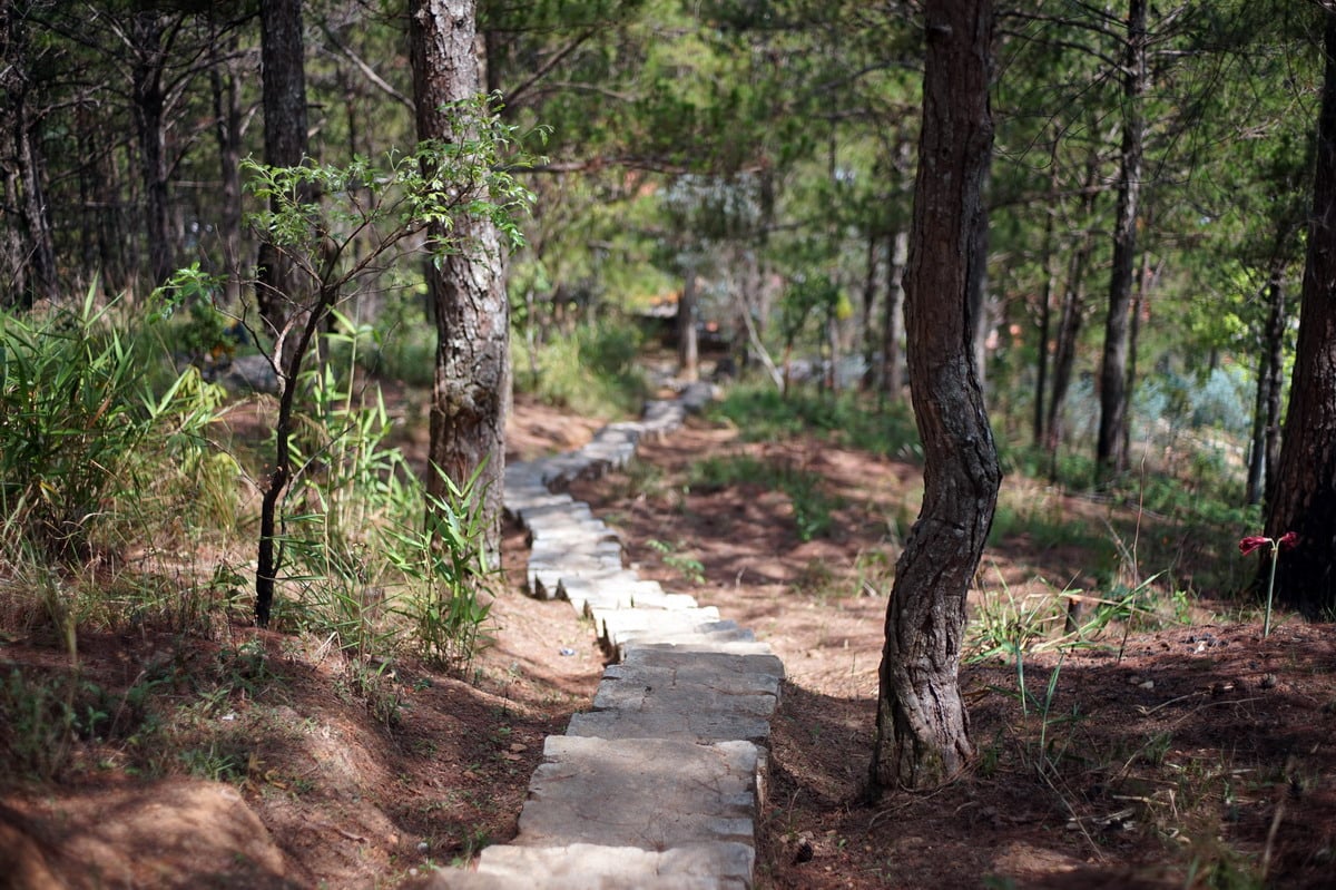 Chùa Linh Phong – ngôi chùa mang vẻ đẹp đậm chất Đà Lạt 17