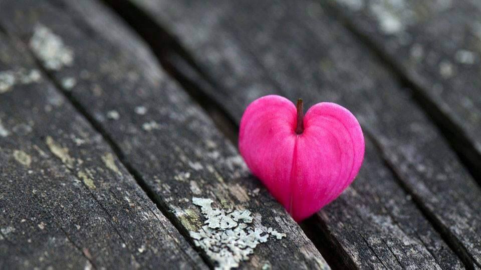 Tình yêu đầu đời