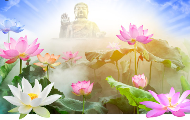 da biet vo thuong sao con phien nao phatgiaoorgvn 1 0923 1