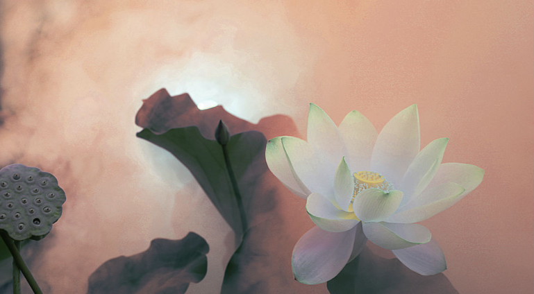 Vô thường là quy luật tự nhiên của cuộc sống